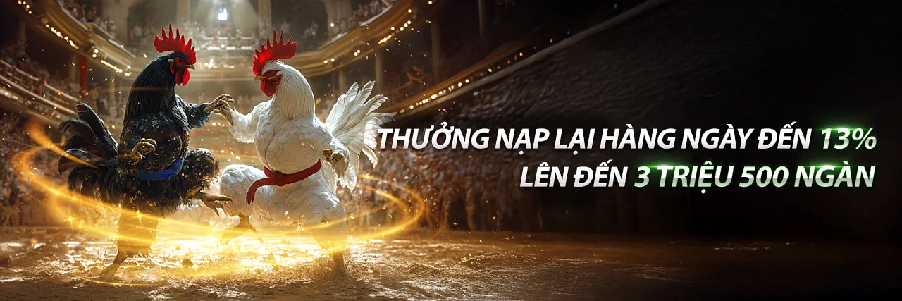 Sân đấu đá gà trực tuyến sôi động với 999ok giftcode